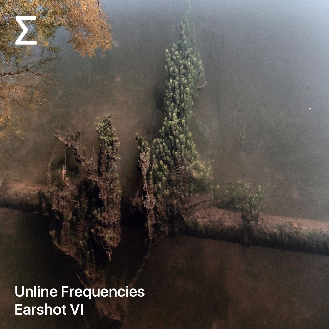 Unline Frequencies – Earshot VI