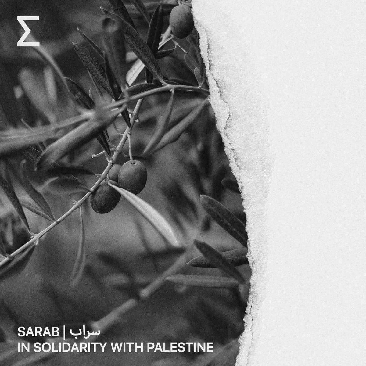 IN SOLIDARITY WITH PALESTINE by SARAB | سراب