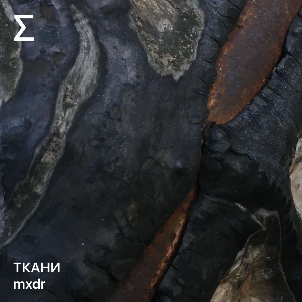 TKANI – mxdr