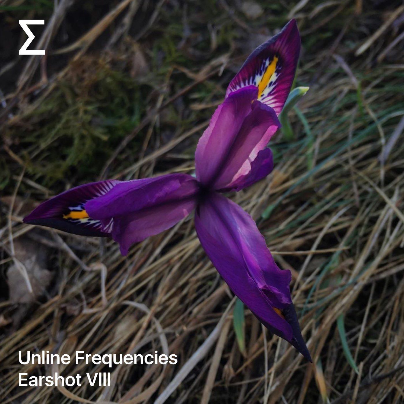 Unline Frequencies – Earshot VIII