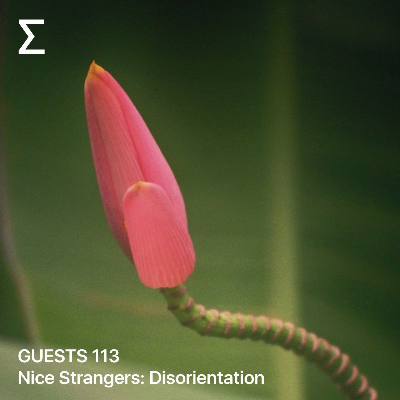 GUESTS 113 – Nice Strangers: Disorientation