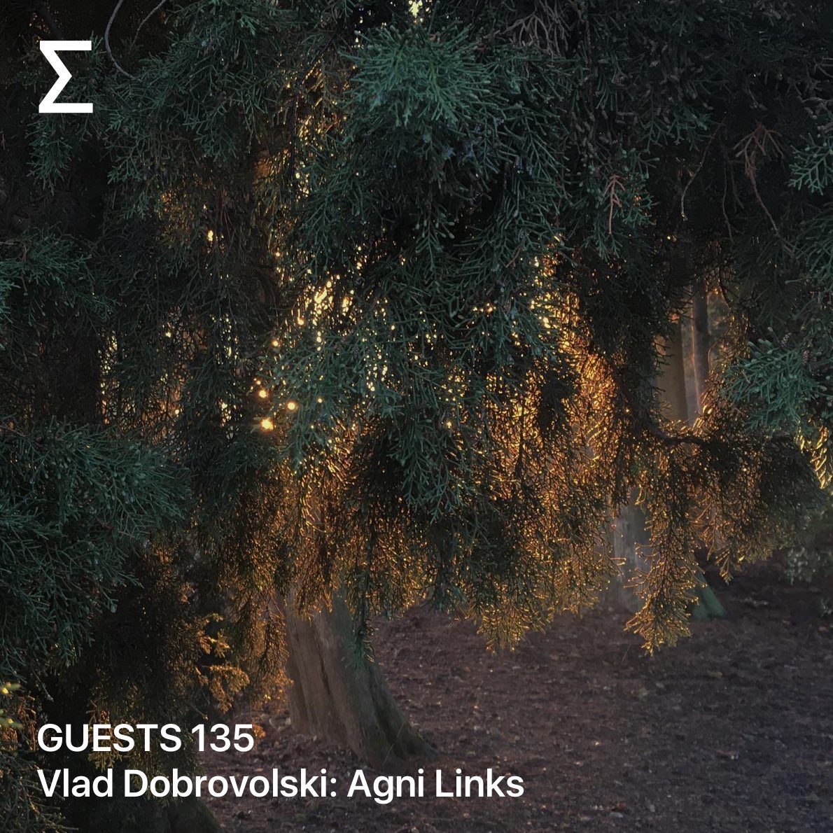 GUESTS 135 – Vlad Dobrovolski: Agni Links