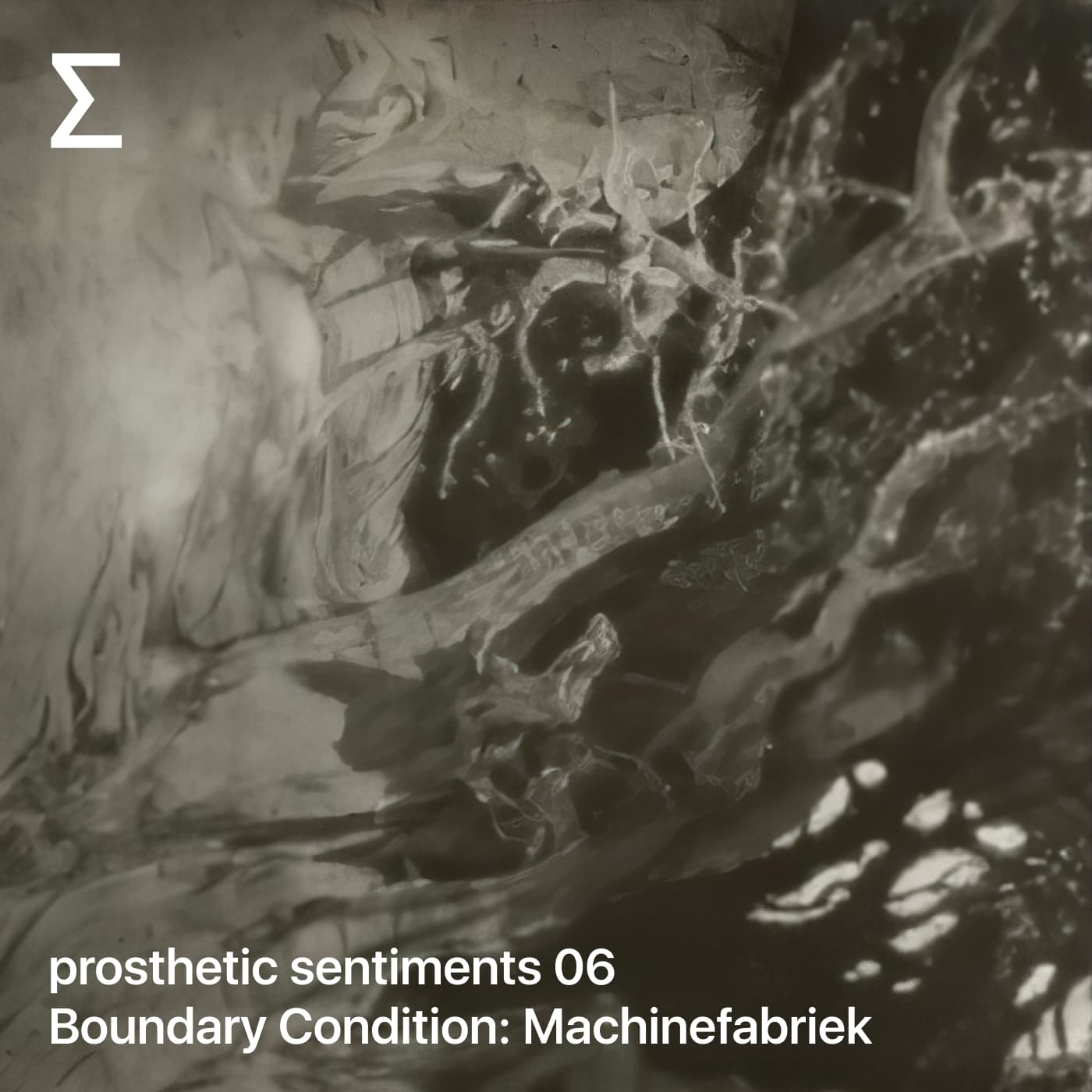 prosthetic sentiments 06 – Boundary Condition: Machinefabriek