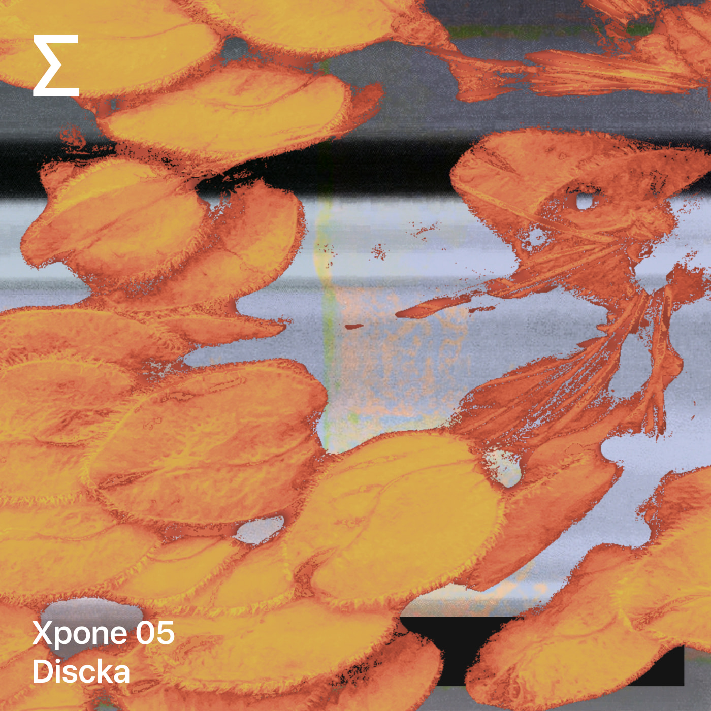 Xpone 05 – Discka