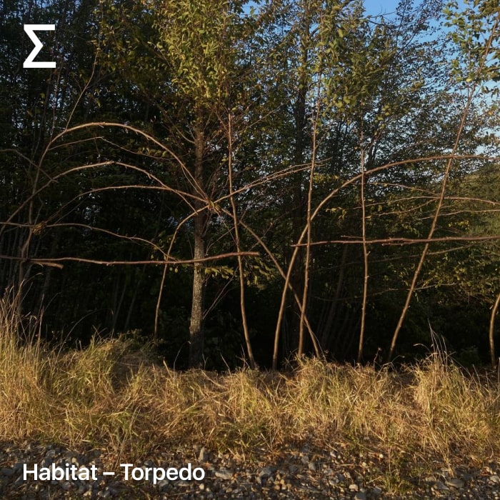 Habitat – Torpedo