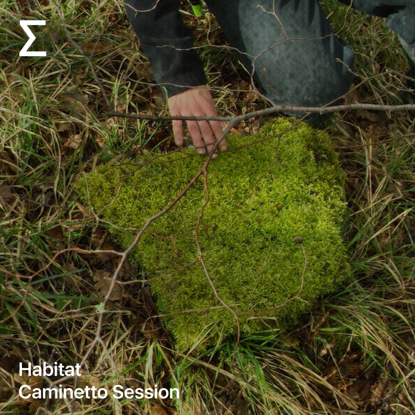 Habitat – Caminetto Session