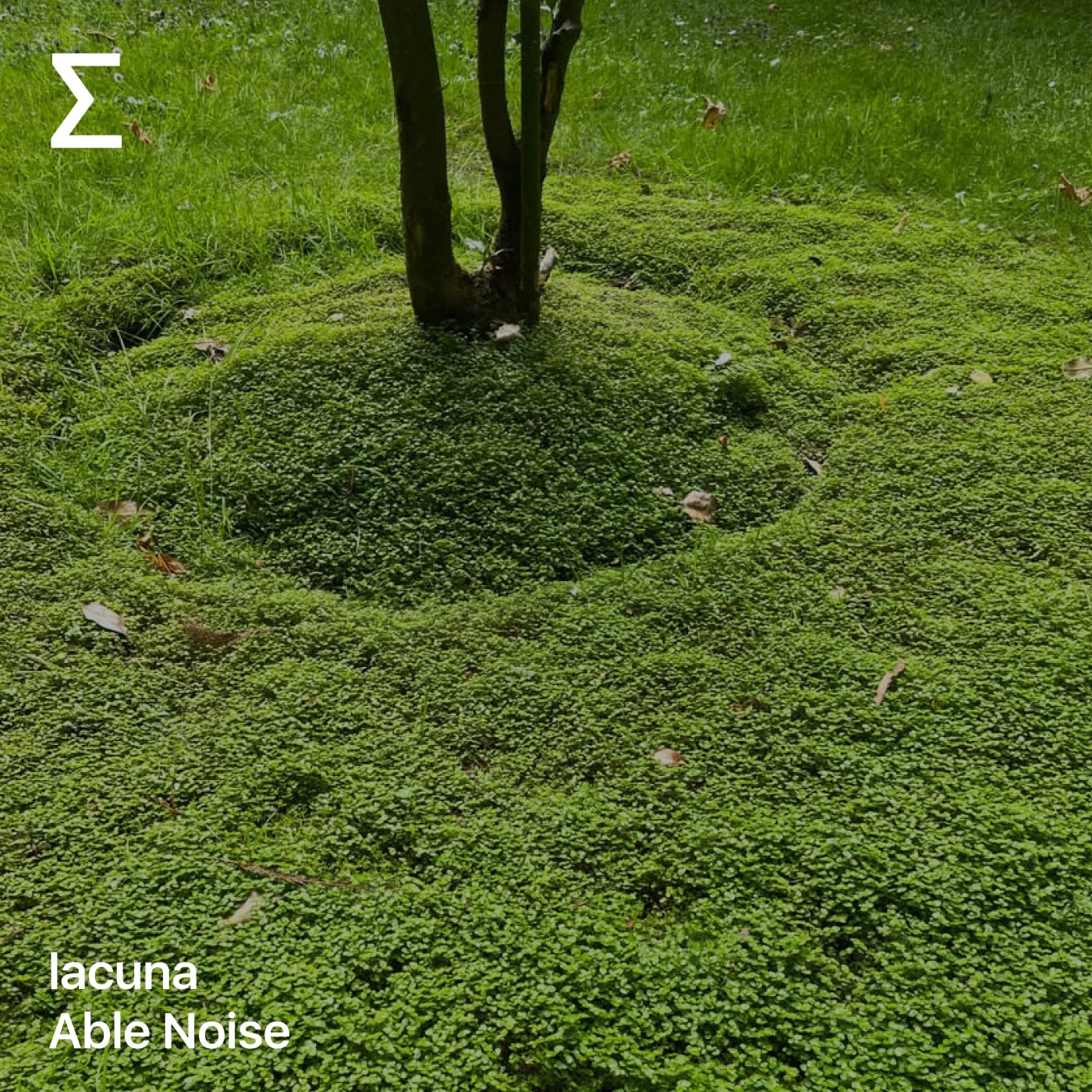 lacuna – Able Noise