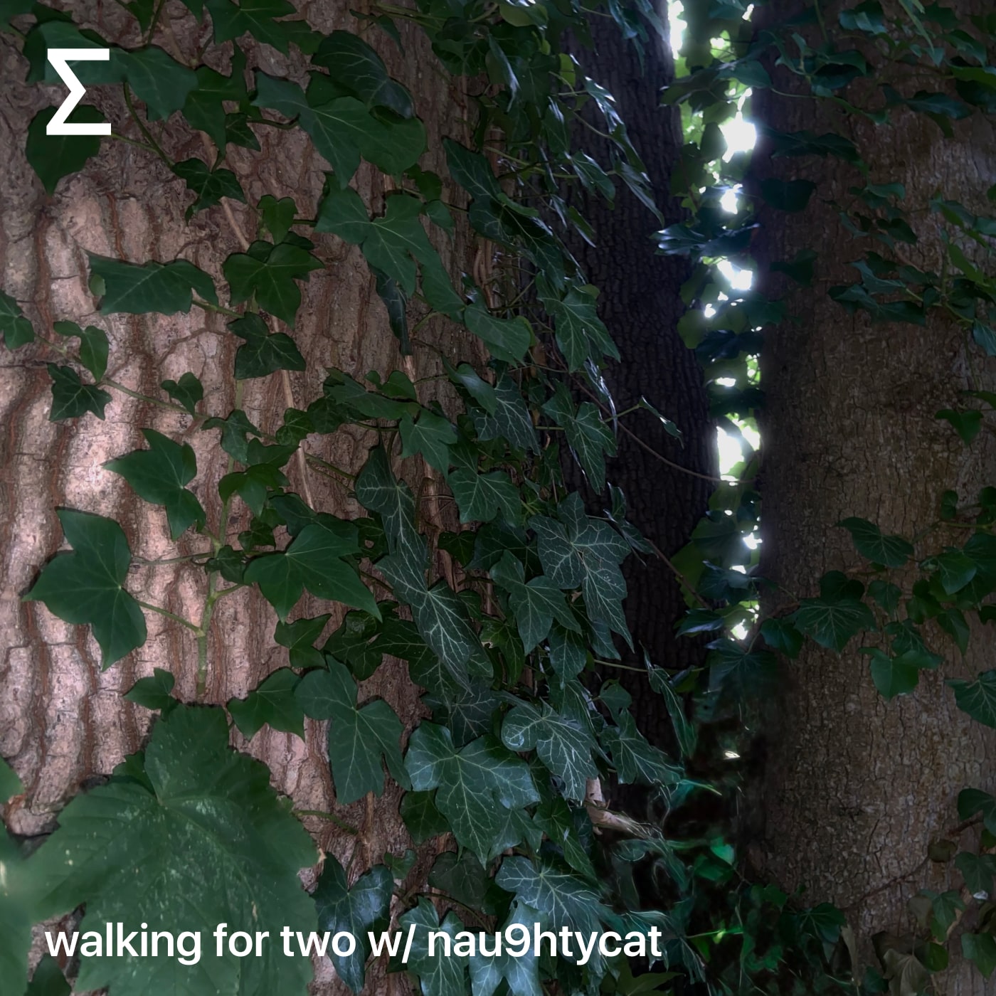 walking for two w/ nau9htycat