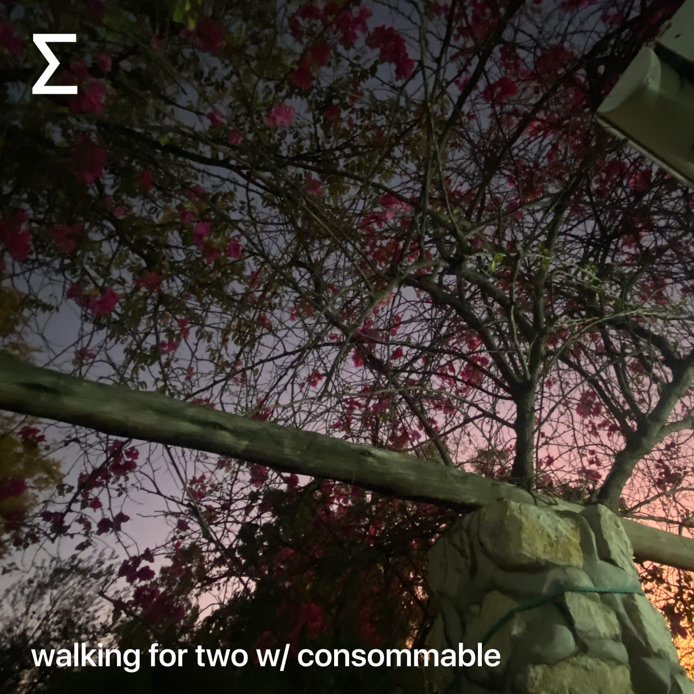 walking for two w/ consommable