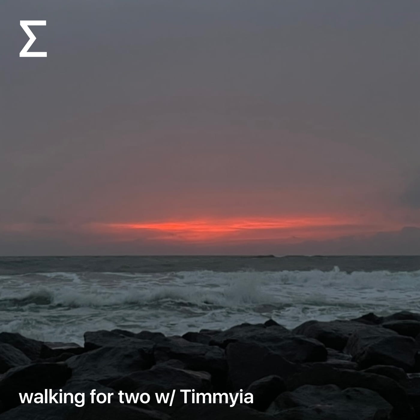 walking for two w/ Timmyia