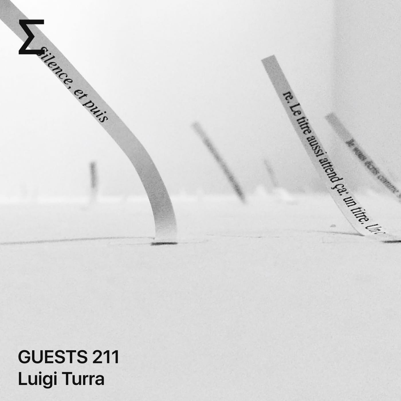 GUESTS 211 – Luigi Turra