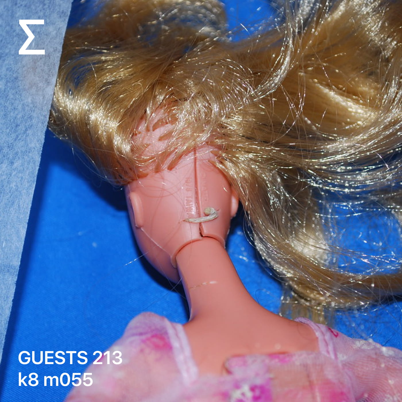 GUESTS 213 – k8 m055