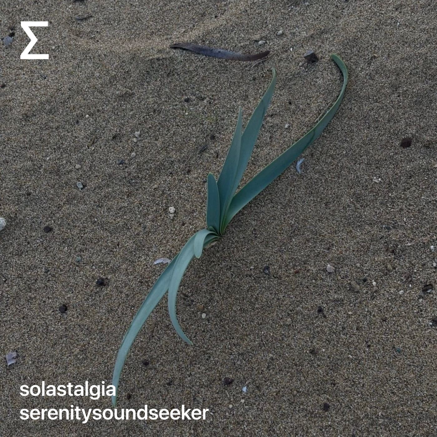 solastalgia – serenitysoundseeker