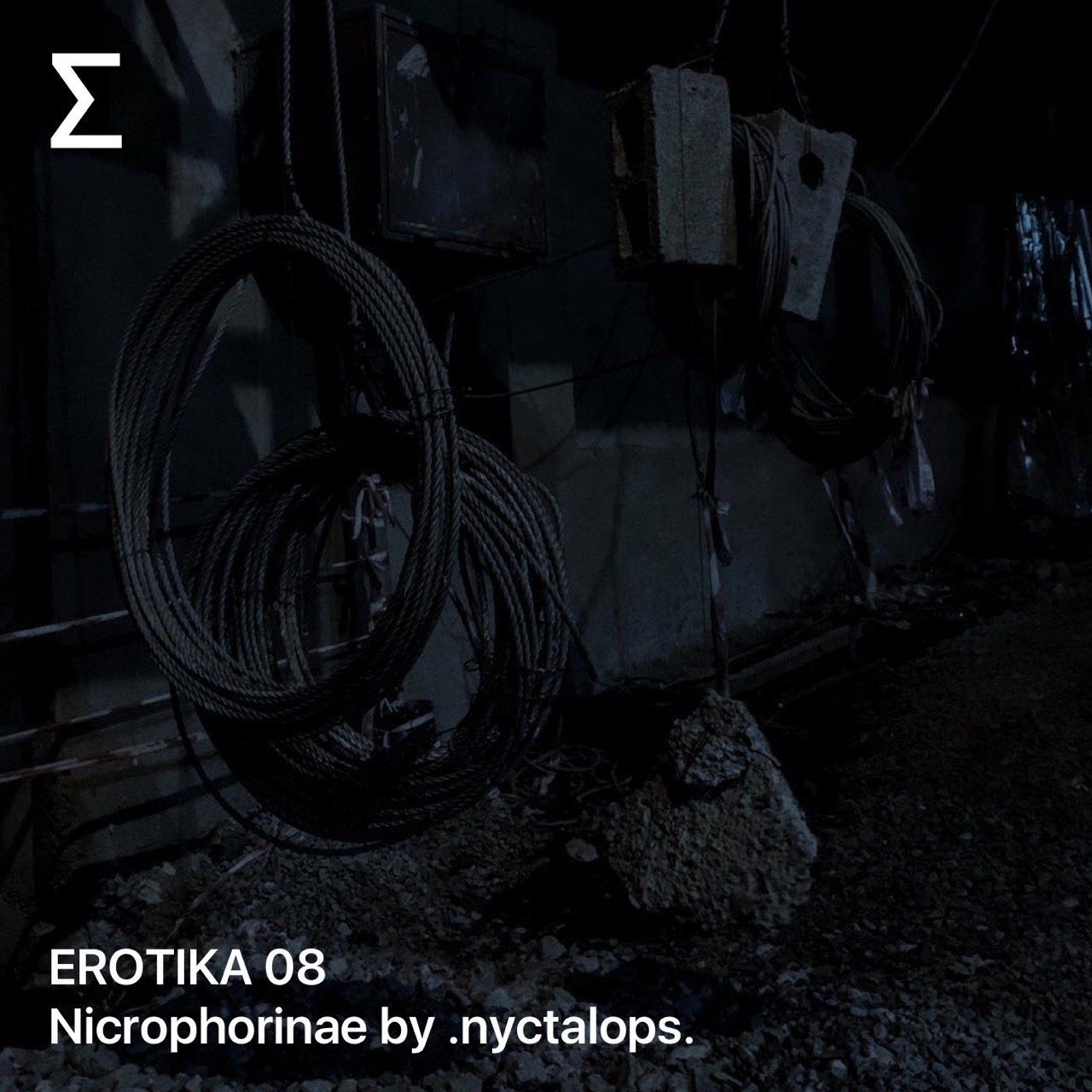 EROTIKA 08 – Nicrophorinae by .nyctalops.