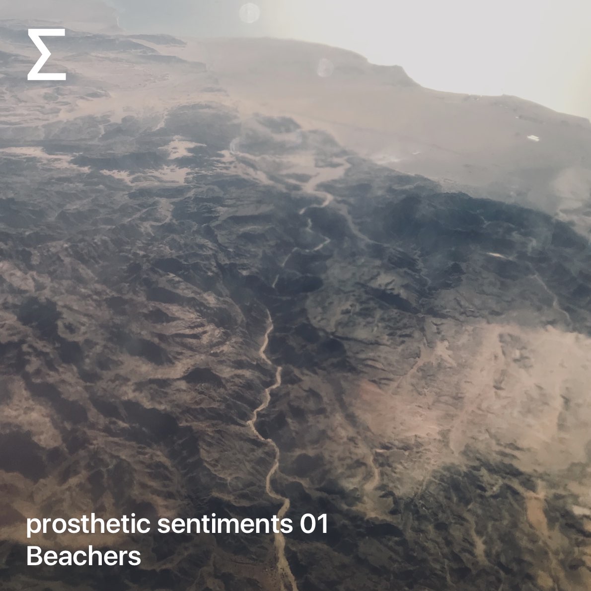 prosthetic sentiments 01 – Beachers
