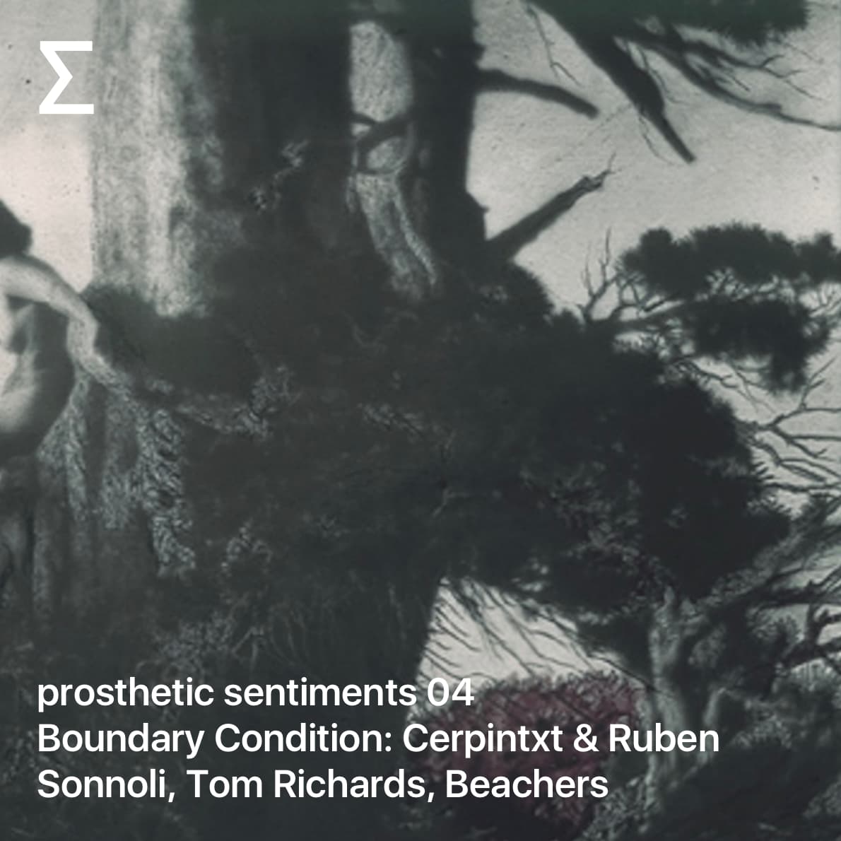 prosthetic sentiments 04 – Boundary Condition: Cerpintxt & Ruben Sonnoli, Tom Richards, Beachers