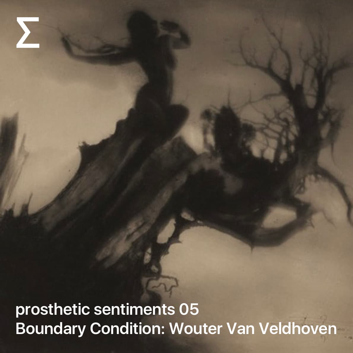 prosthetic sentiments 05 – Boundary Condition: Wouter Van Veldhoven