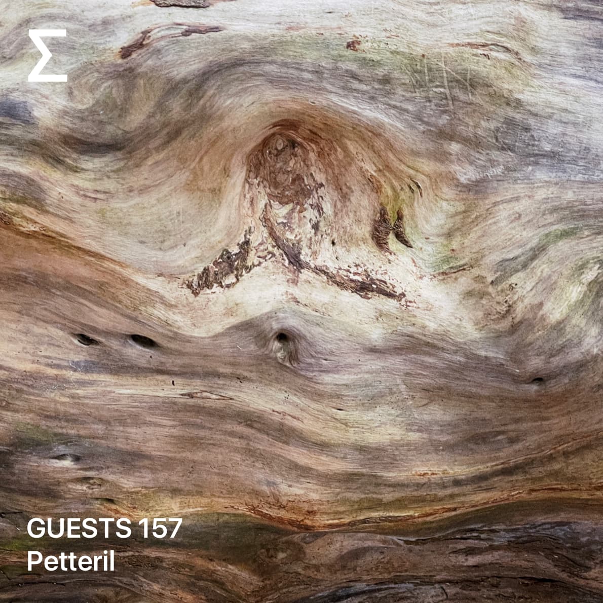 GUESTS 157 – Petteril