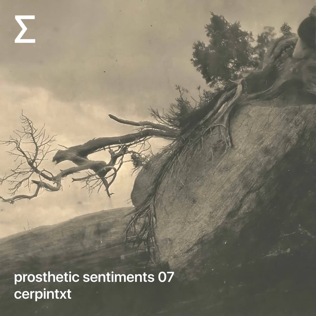 prosthetic sentiments 07 – cerpintxt
