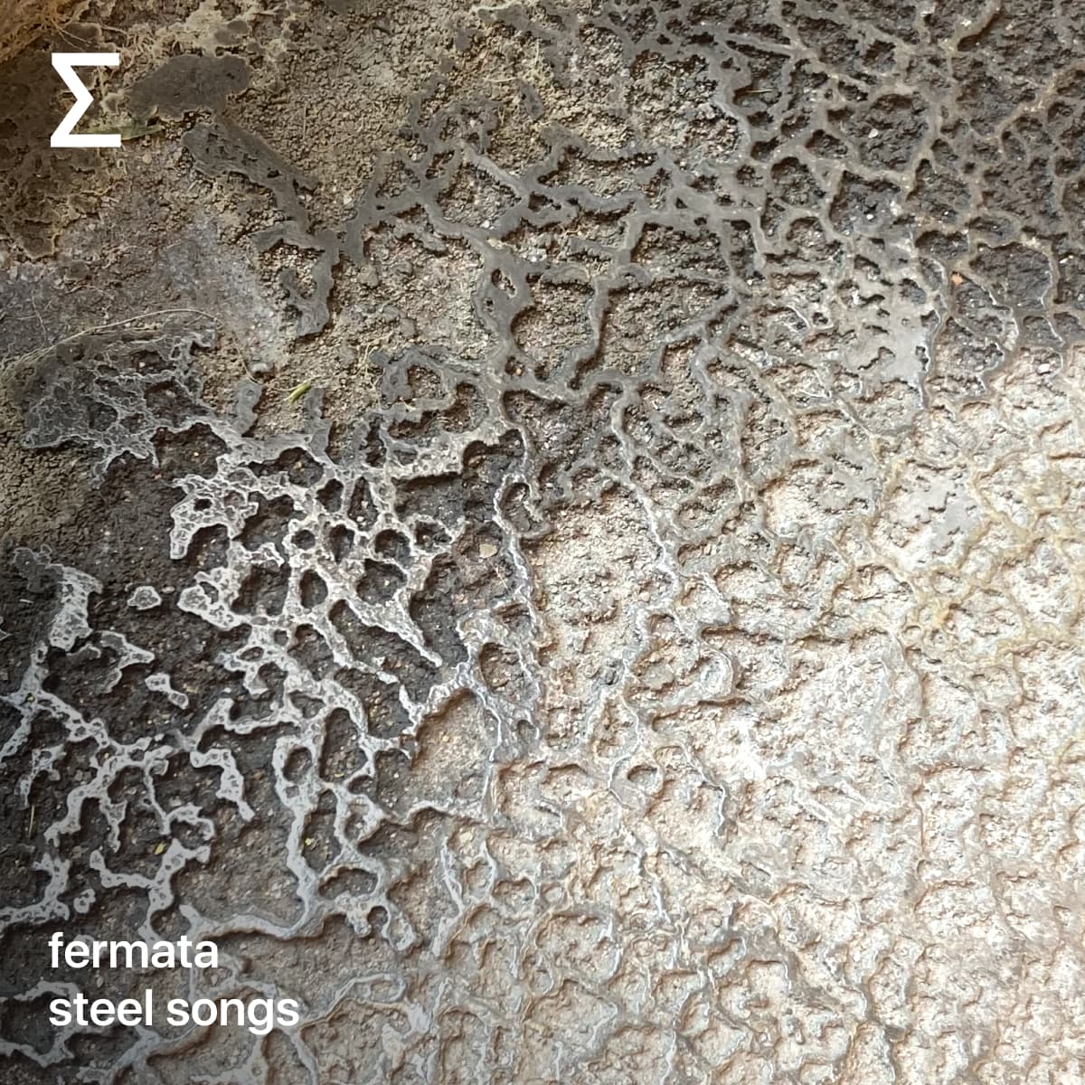 fermata – steel songs