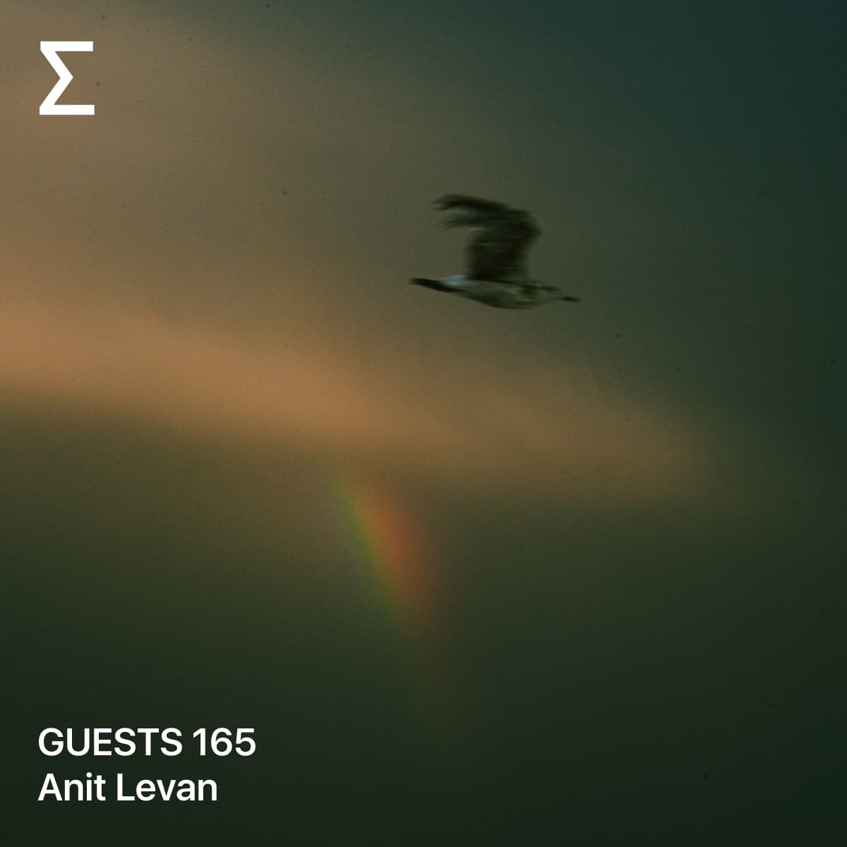 GUESTS 165 – Anit Levan