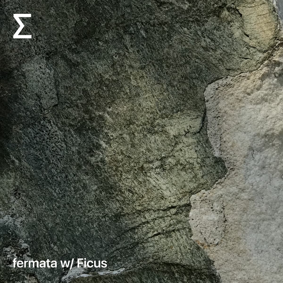 fermata w/ Ficus