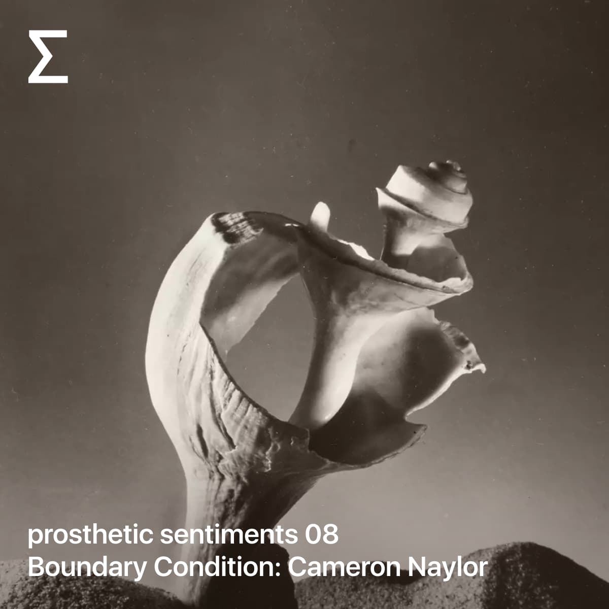prosthetic sentiments 08 – Boundary Condition: Cameron Naylor