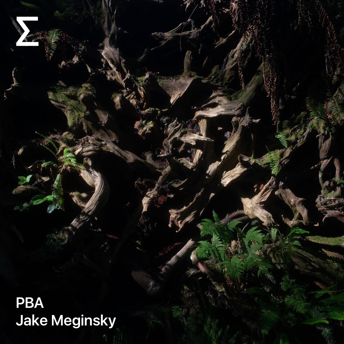 PBA – Jake Meginsky