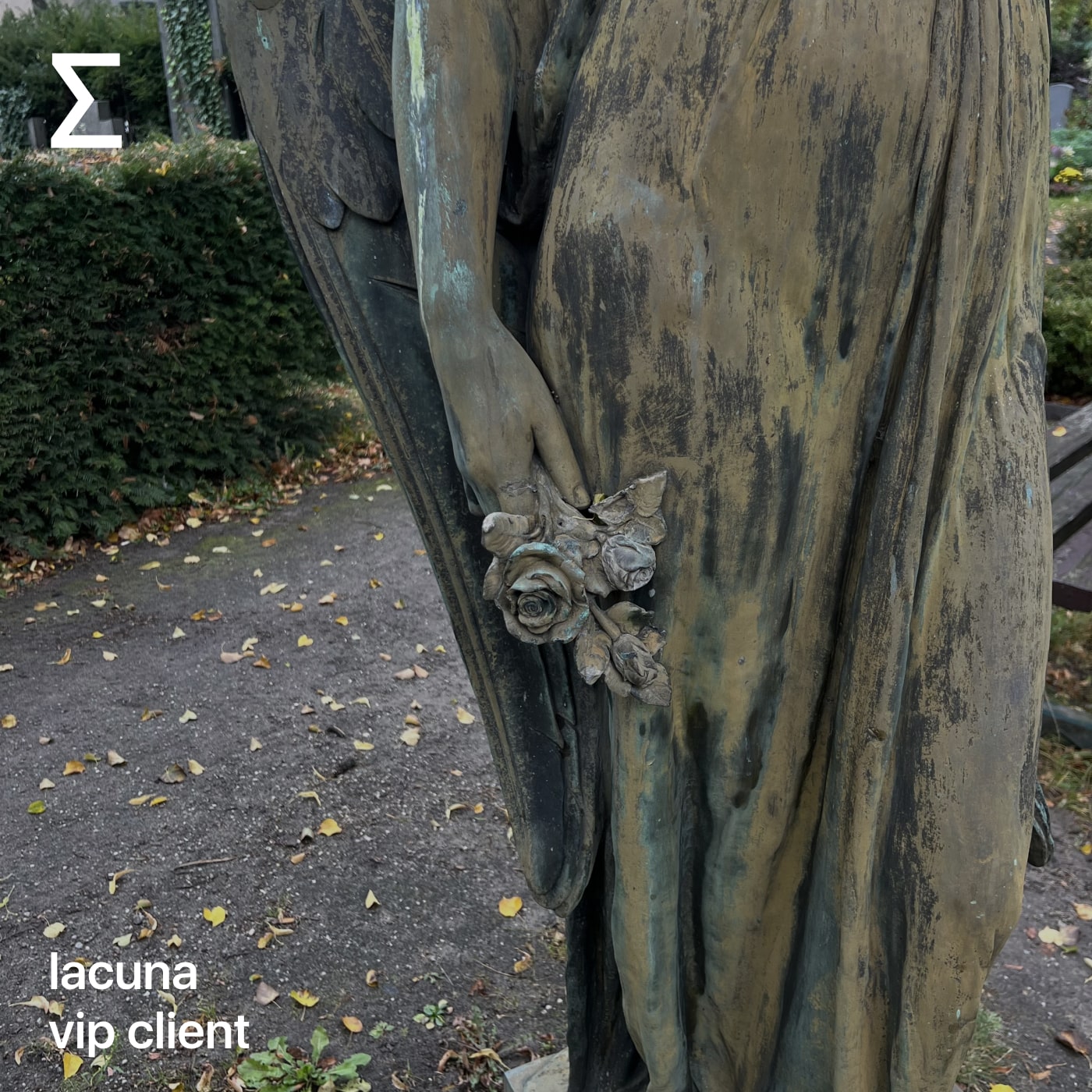 lacuna – vip client