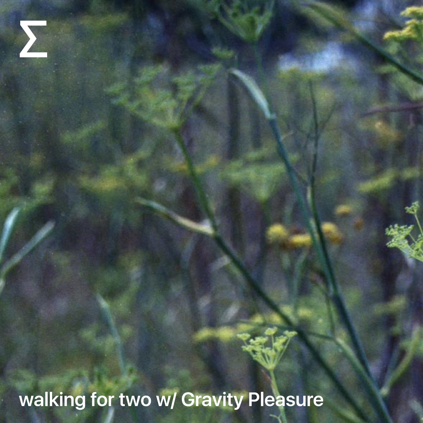 walking for two w/ Gravity Pleasure
