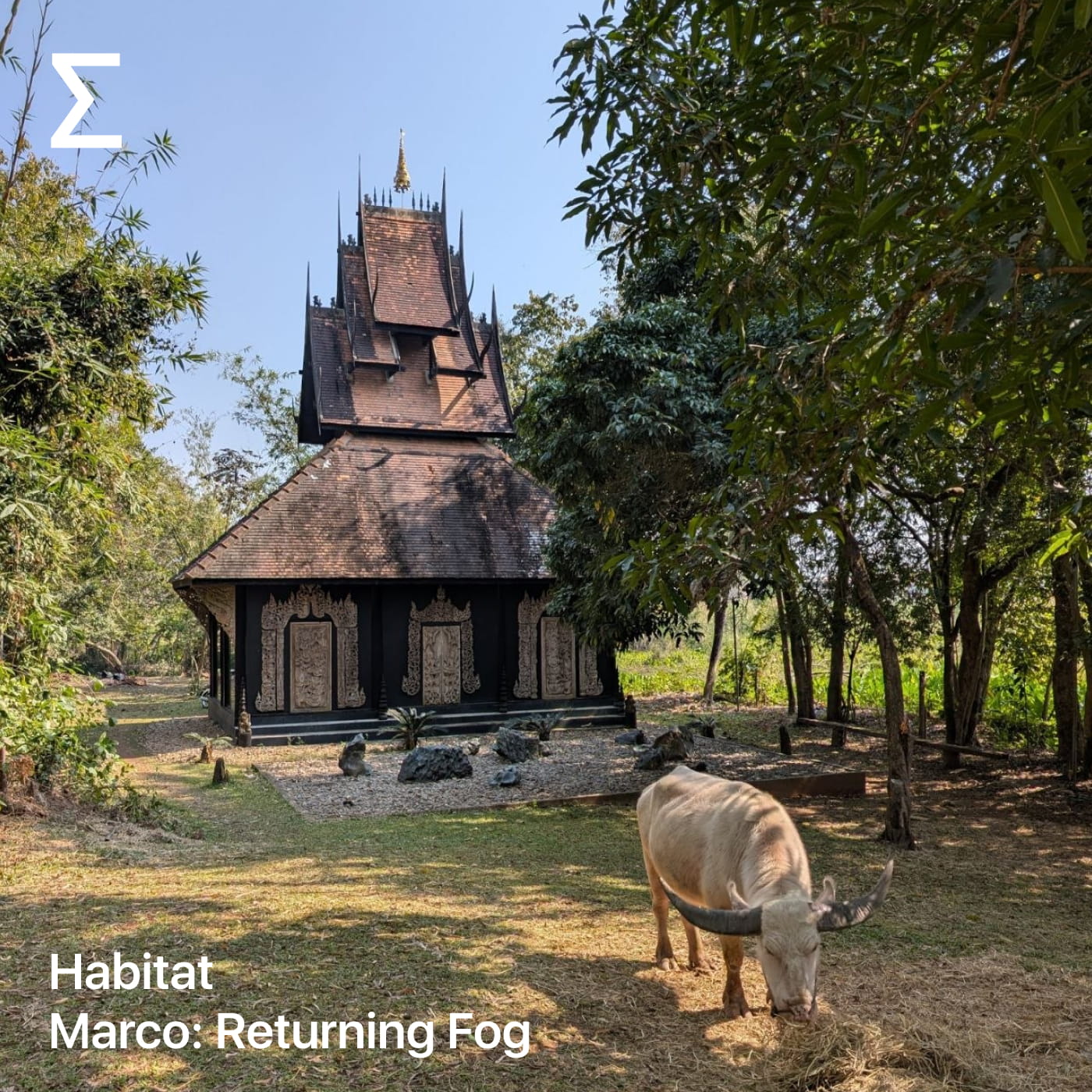 Habitat – Marco: Returning Fog