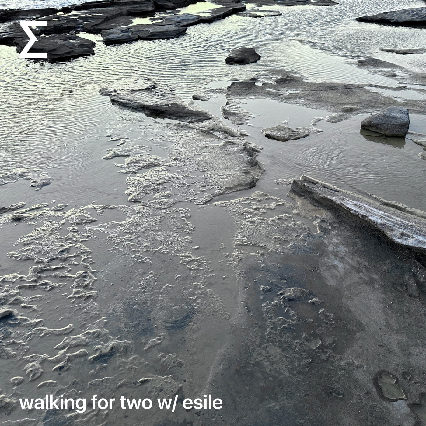 walking for two w/ esile