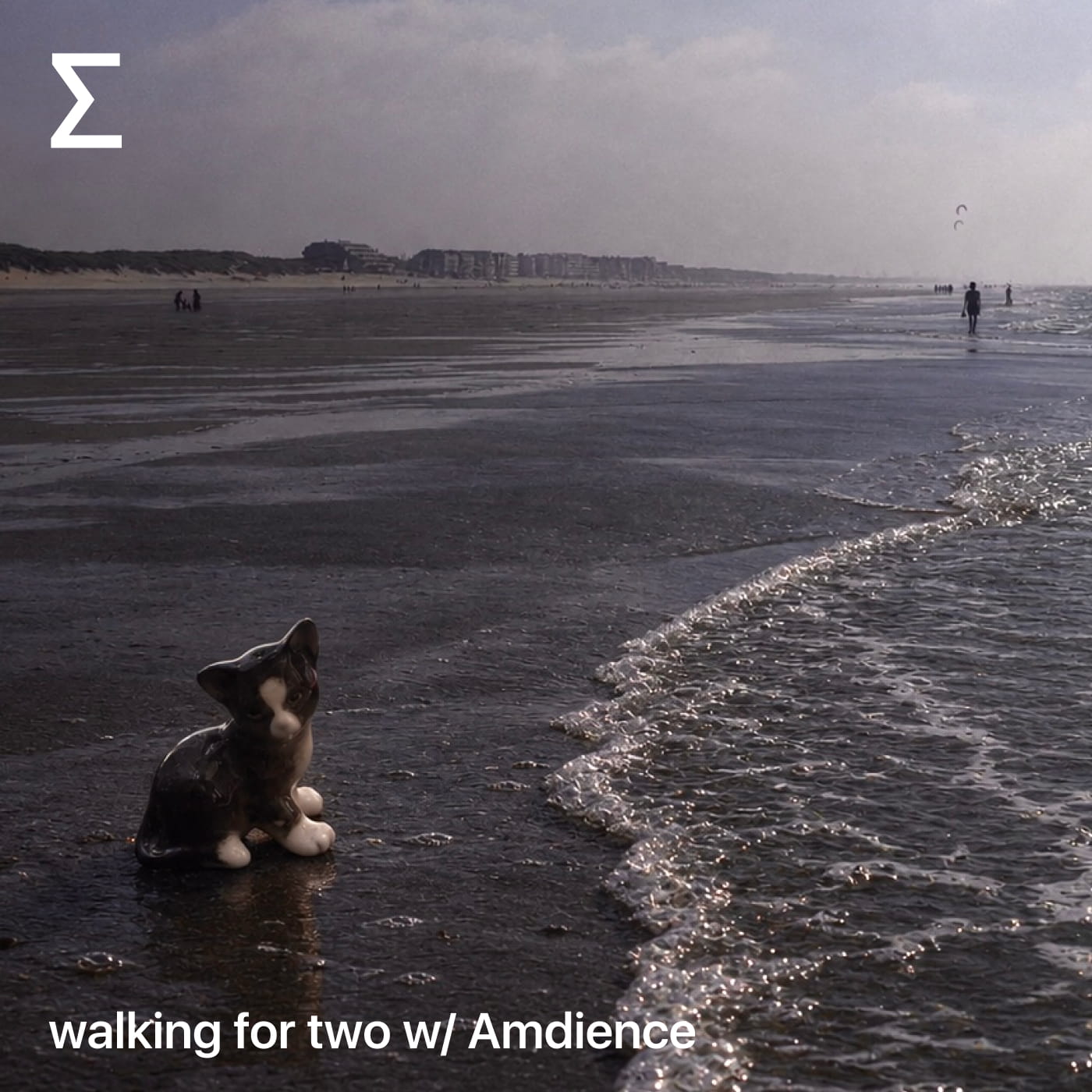 walking for two w/ Amdience