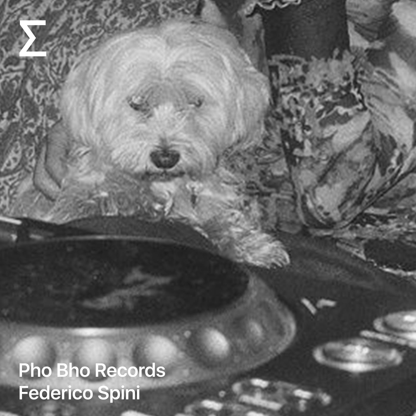 Pho Bho Records – Federico Spini