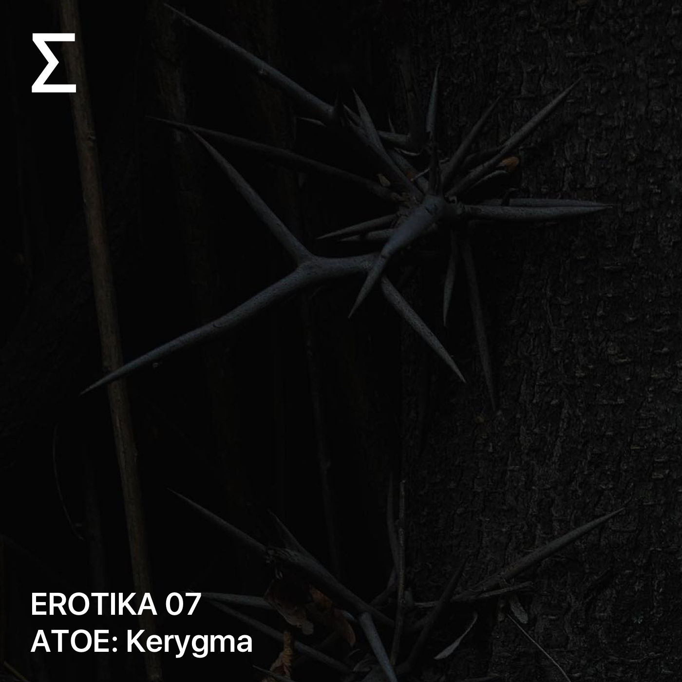 EROTIKA 07 – ATOE: Kerygma
